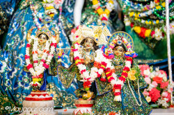 Daily Darshan
