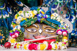 Daily Darshan