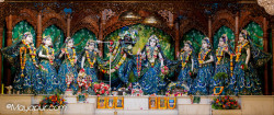 Daily Darshan
