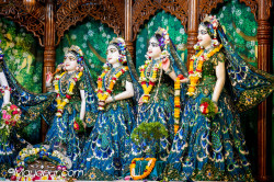 Daily Darshan
