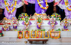Daily Darshan