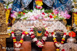 Daily Darshan