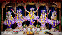 Daily Darshan