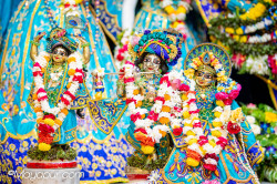 Daily Darshan