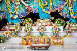 Daily Darshan