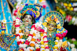 Daily Darshan