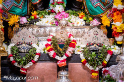Daily Darshan