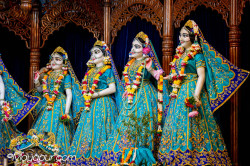 Daily Darshan