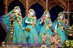 Daily Darshan