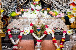 Daily Darshan
