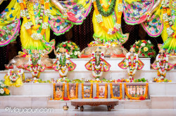 Daily Darshan