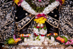 Daily Darshan