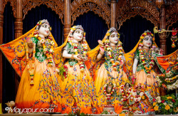 Daily Darshan