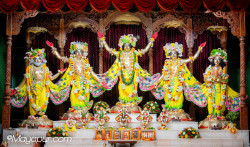 Daily Darshan