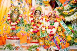 Daily Darshan