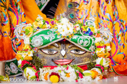 Daily Darshan
