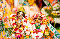 Daily Darshan
