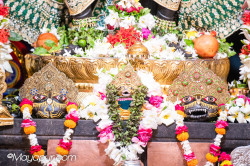 Daily Darshan