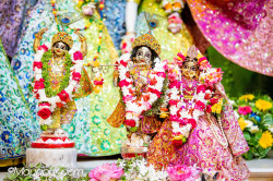 Daily Darshan