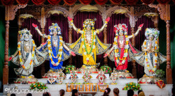Daily Darshan