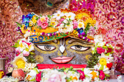 Daily Darshan