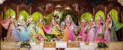 Daily Darshan
