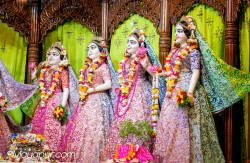Daily Darshan