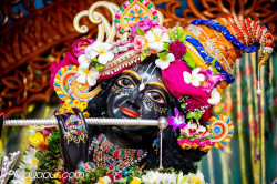 Daily Darshan