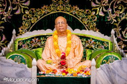 Daily Darshan