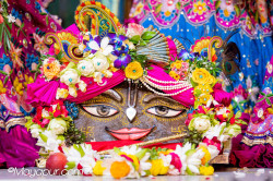 Daily Darshan