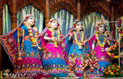 Daily Darshan