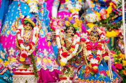Daily Darshan