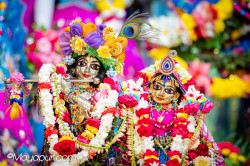 Daily Darshan