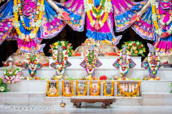Daily Darshan