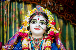 Daily Darshan
