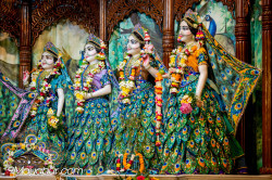 Daily Darshan