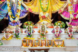 Daily Darshan