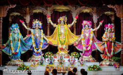 Daily Darshan