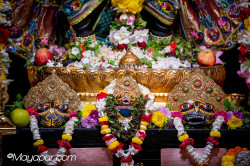 Daily Darshan
