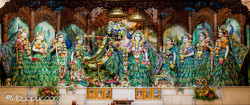 Daily Darshan