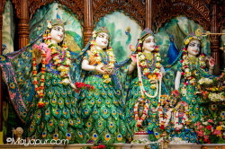 Daily Darshan