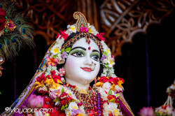 Daily Darshan