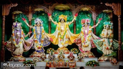 Daily Darshan
