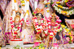 Daily Darshan