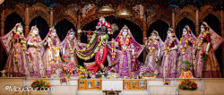 Daily Darshan