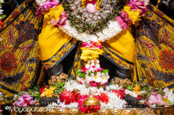 Daily Darshan