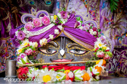 Daily Darshan