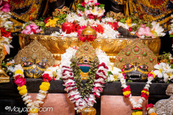 Daily Darshan