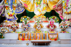 Daily Darshan