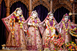 Daily Darshan